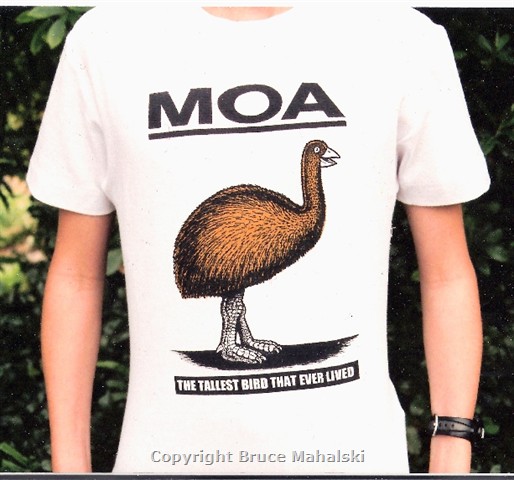  Moa t-shirt for children